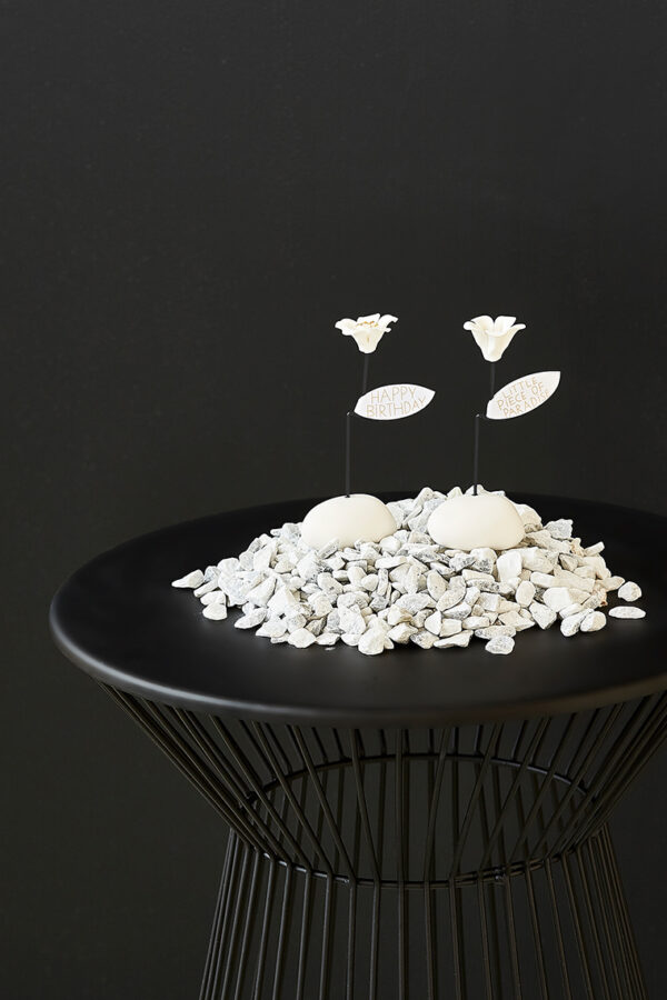 17441_17443_ag-s_g_sonstige-mini-geschenke_y24_v01